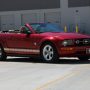 Used Mustang For Sale