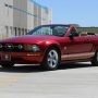 Used Mustang For Sale