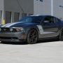 Used Mustang For Sale