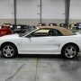 Used Mustang For Sale