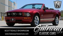 Used Mustang For Sale