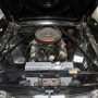Used Mustang For Sale