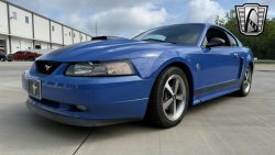 Used Mustang For Sale