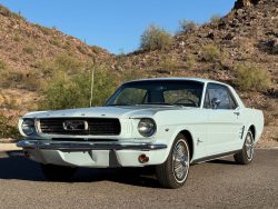 Used Mustang For Sale