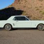 Used Mustang For Sale