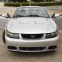 Used Mustang For Sale