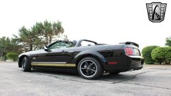 Used Mustang For Sale