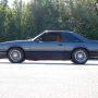 Used Mustang For Sale