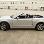 Used Mustang For Sale