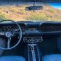 Used Mustang For Sale