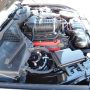 Used Mustang For Sale