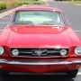 Used Mustang For Sale