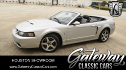Used Mustang For Sale