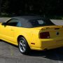 Used Mustang For Sale
