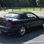 Used Mustang For Sale
