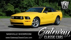 Used Mustang For Sale