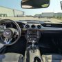 Used Mustang For Sale