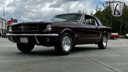 Used Mustang For Sale