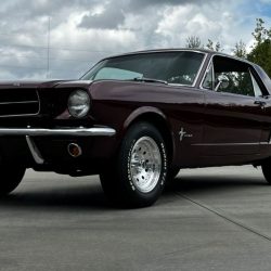 Used Mustang For Sale