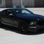 Used Mustang For Sale