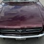 Used Mustang For Sale