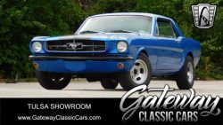 Used Mustang For Sale