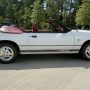 Used Mustang For Sale