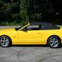 Used Mustang For Sale