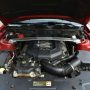 Used Mustang For Sale