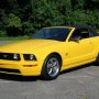 Used Mustang For Sale