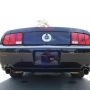 Used Mustang For Sale