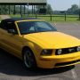 Used Mustang For Sale