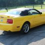 Used Mustang For Sale