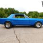Used Mustang For Sale