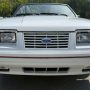 Used Mustang For Sale