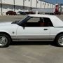Used Mustang For Sale