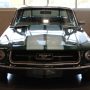 Used Mustang For Sale Used Mustang For Sale