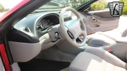 Used Mustang For Sale