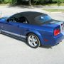 Used Mustang For Sale Used Mustang For Sale