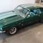 Used Mustang For Sale Used Mustang For Sale