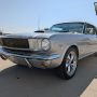 Used Mustang For Sale