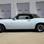 Used Mustang For Sale