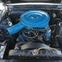 Used Mustang For Sale
