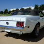 Used Mustang For Sale