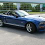 Used Mustang For Sale Used Mustang For Sale