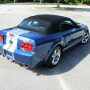 Used Mustang For Sale Used Mustang For Sale