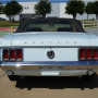 Used Mustang For Sale