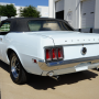 Used Mustang For Sale