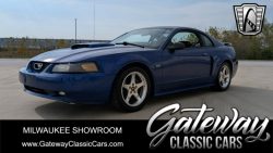 Used Mustang For Sale