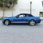 Used Mustang For Sale